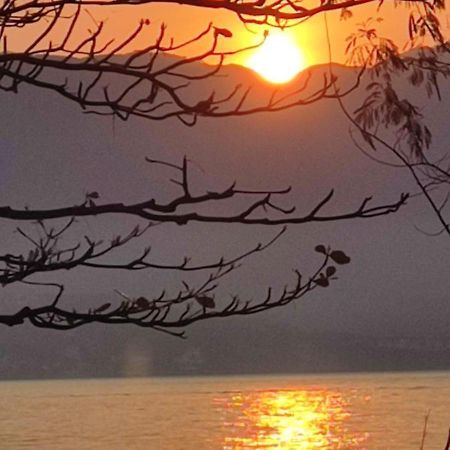 Recanto Toca Das Plantas De Ilhabela I Buitenkant foto